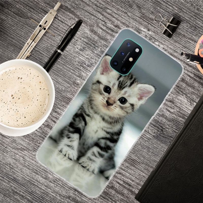 Skal för OnePlus 8T Kattunge