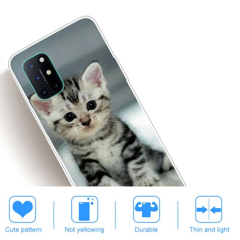 Skal för OnePlus 8T Kattunge