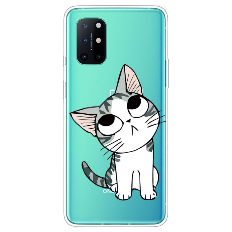 Skal OnePlus 8T Titta På Den Grå Katten