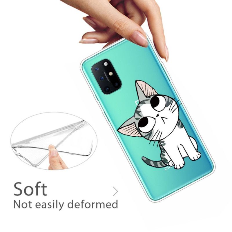 Skal OnePlus 8T Titta På Den Grå Katten