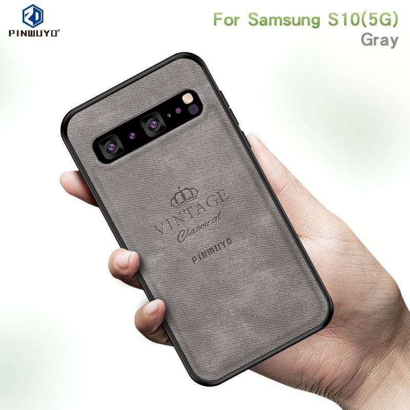 Skal Samsung Galaxy S10 5G Grå Ära Vintage Pinwuyo